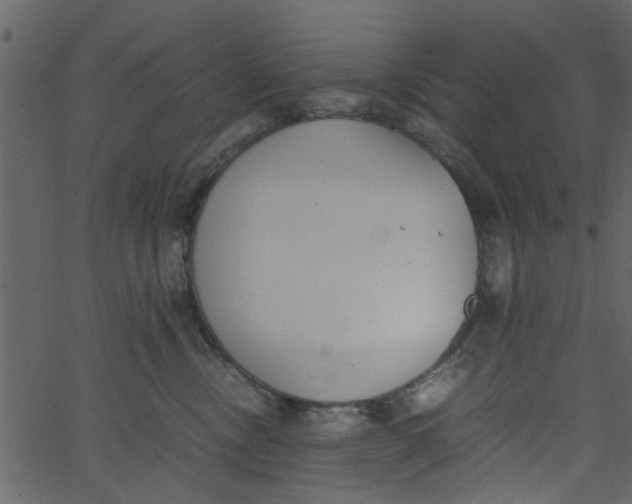 X0000062670378200601111250