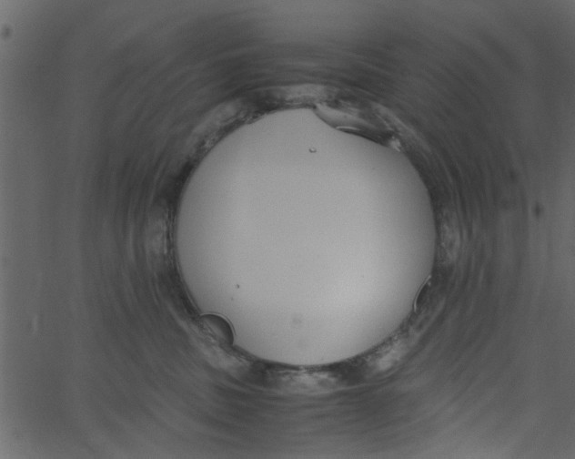 X0000062670379200601111250