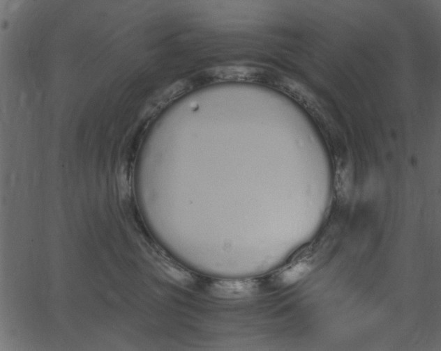 X0000062670381200601111250