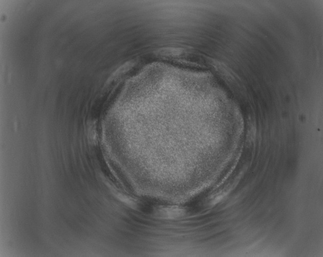 X0000062670383200601111250