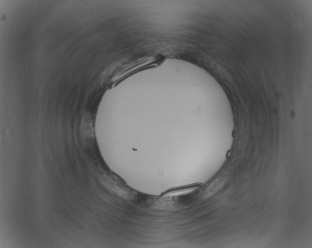 X0000062670384200601111250