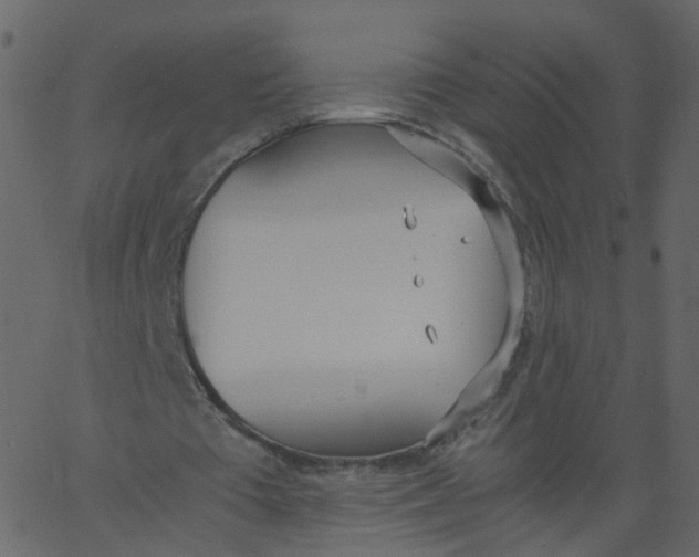 X0000062670385200601111249