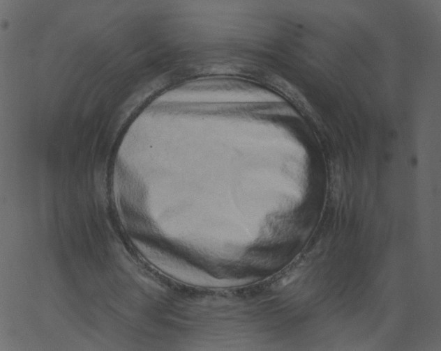 X0000062670386200601111249