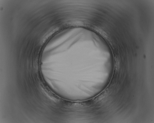 X0000062670390200601111249