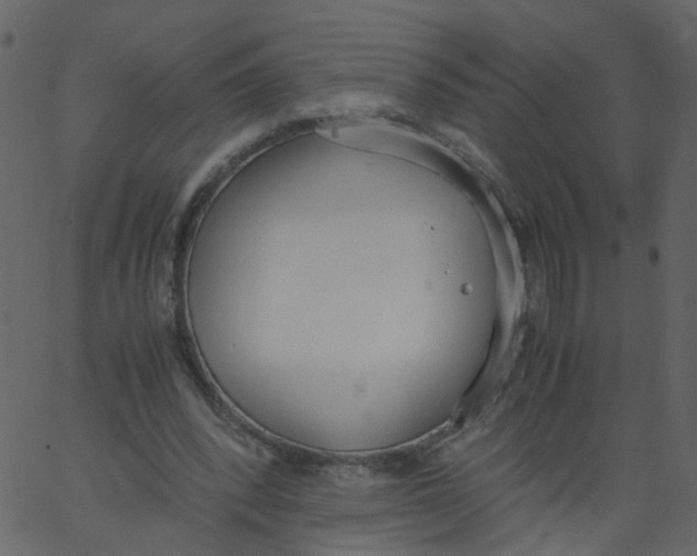 X0000062670392200601111249