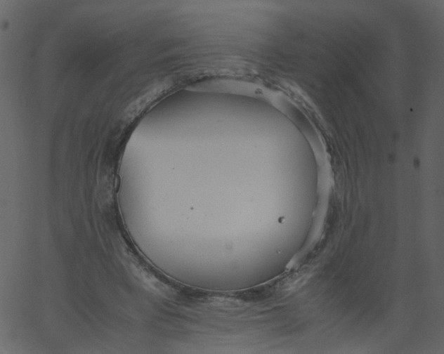 X0000062670393200601111249