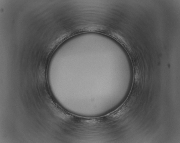 X0000062670394200601111249