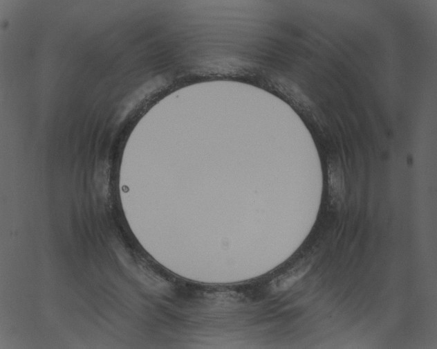 X0000062670396200601111249