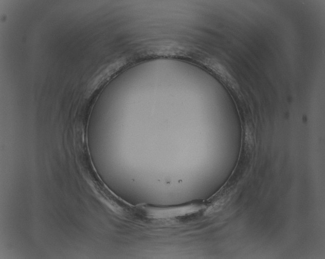 X0000062670397200601111249