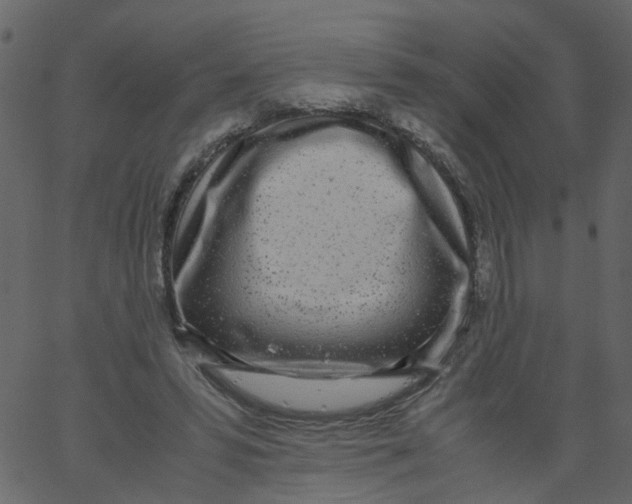 X0000062670399200601111249