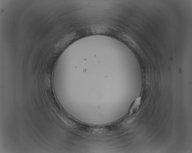 X0000062670401200601111249