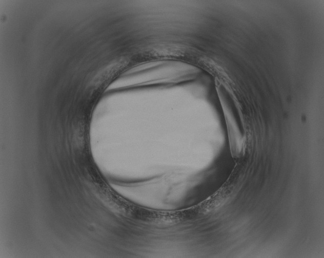 X0000062670402200601111249