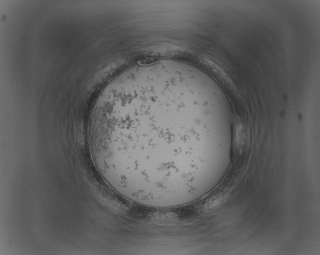 X0000062670403200601111249