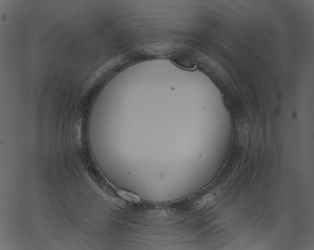 X0000062670404200601111249