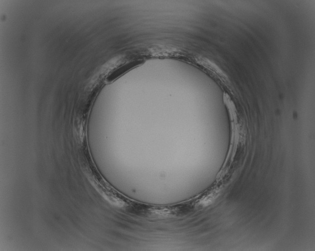 X0000062670405200601111249