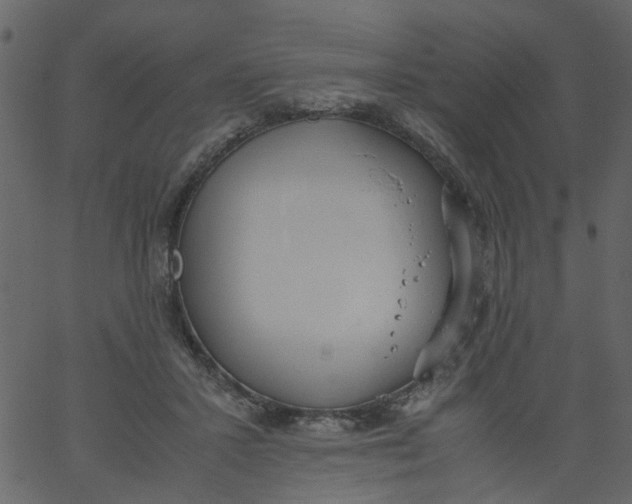 X0000062670407200601111249