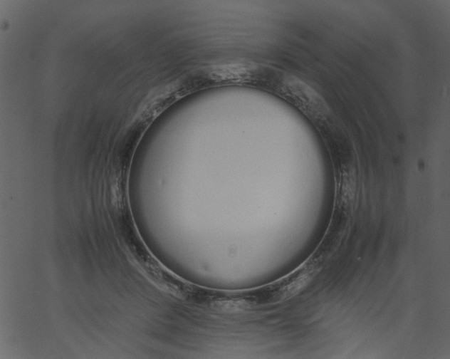 X0000062670408200601111249