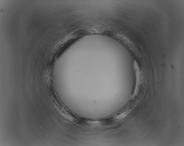 X0000062670409200601111249