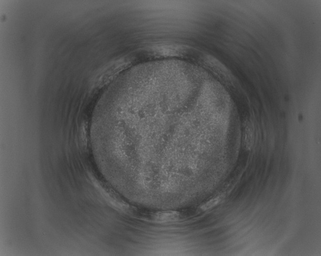 X0000062670410200601111249