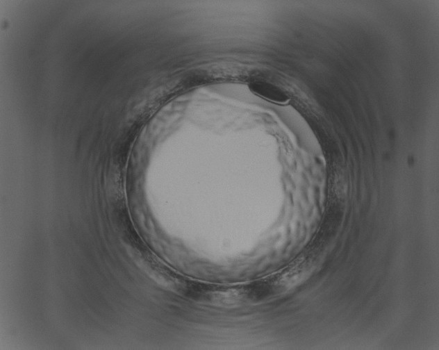 X0000062670411200601111249