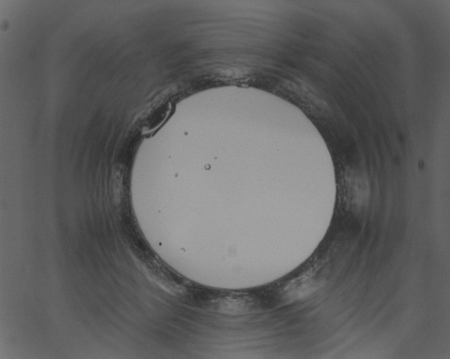 X0000062670412200601111249