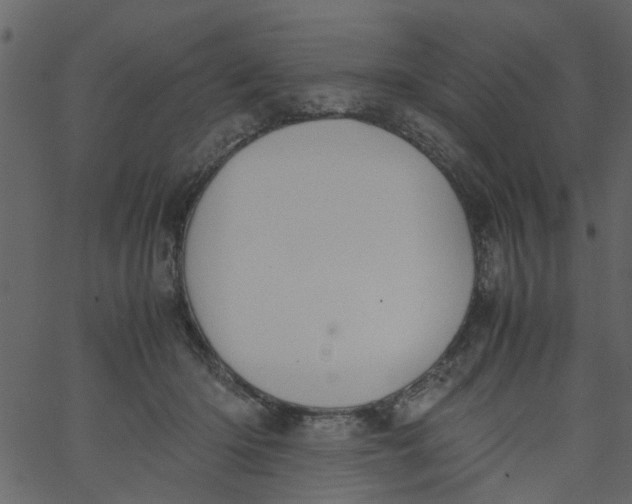 X0000062670414200601111249