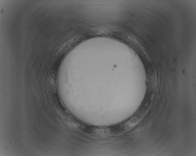 X0000062670415200601111249