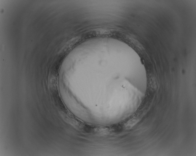 X0000062670419200601111249