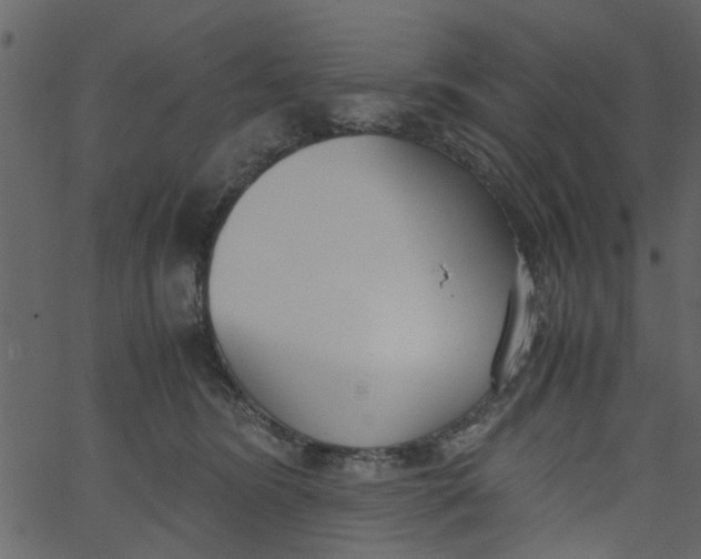 X0000062670420200601111249