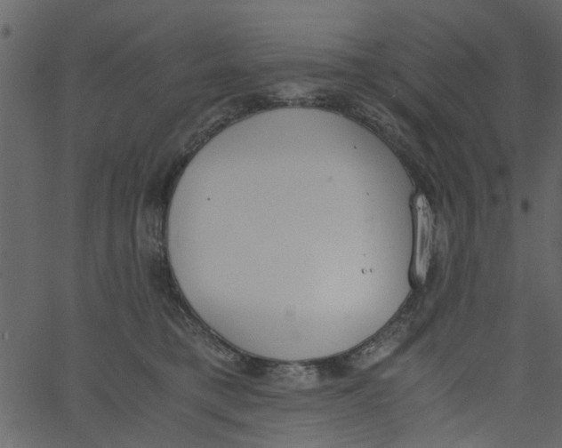 X0000062670421200601111249