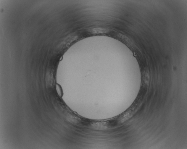 X0000062670422200601111249