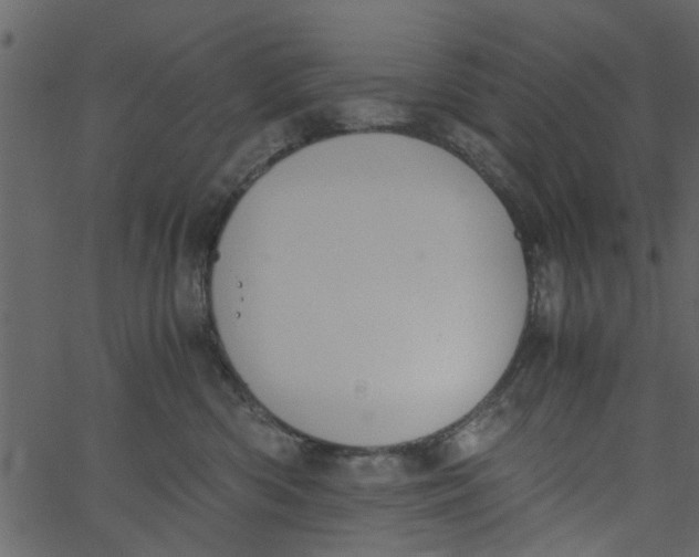 X0000062670426200601111249