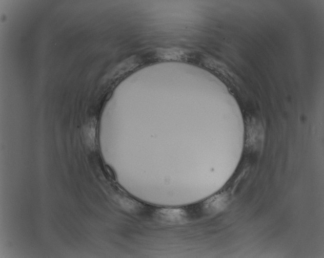 X0000062670427200601111249