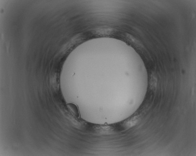 X0000062670428200601111249