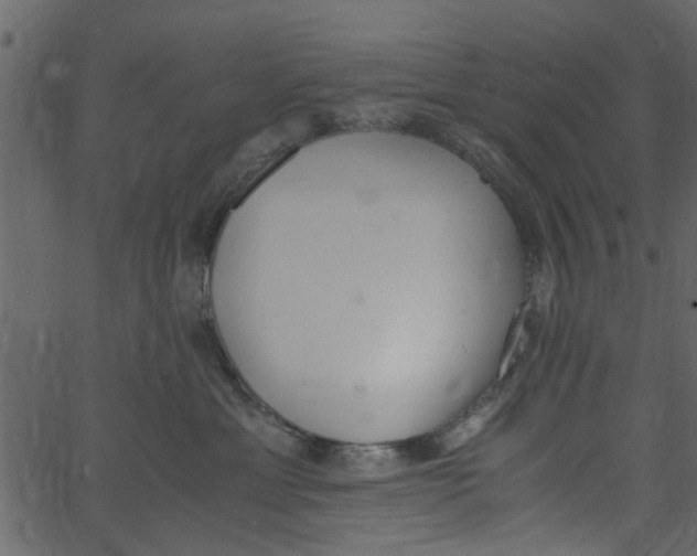 X0000062670429200601111249