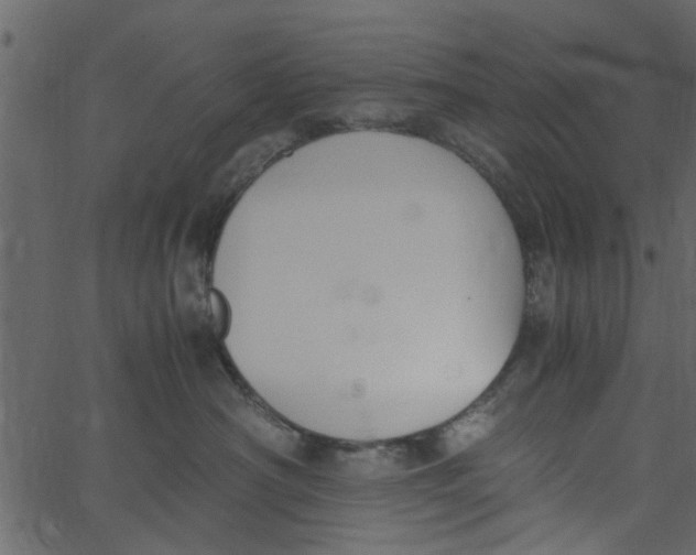 X0000062670430200601111249