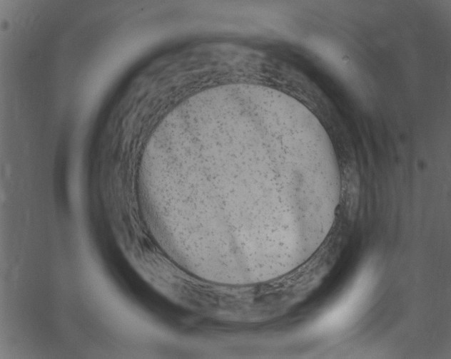 X0000062670431200601111249