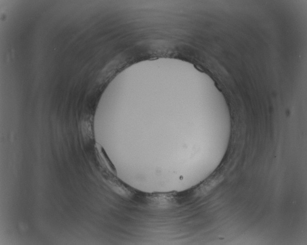 X0000062670432200601111249