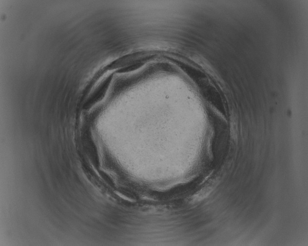 X0000062670434200601111248