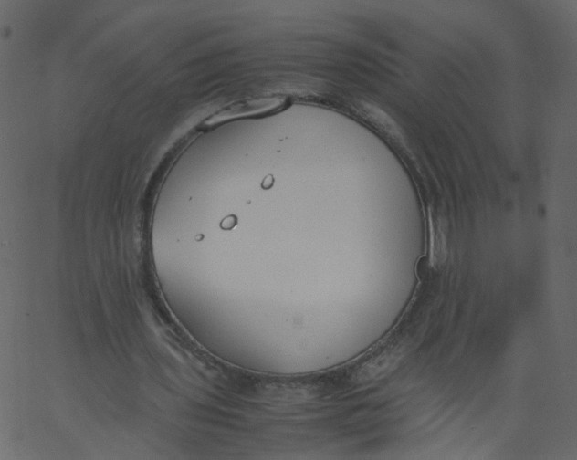 X0000062670435200601111248