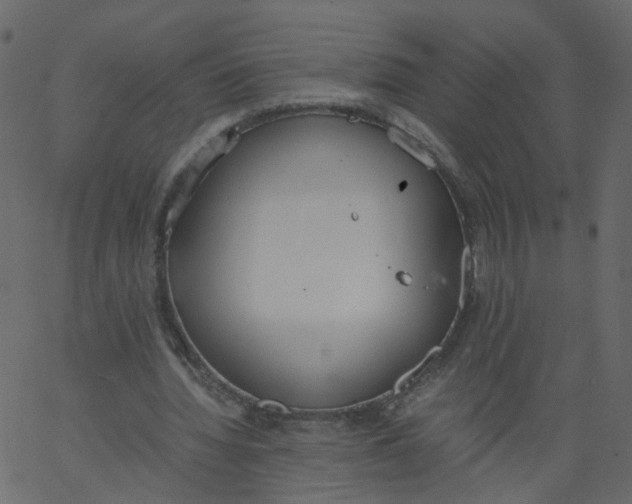 X0000062670436200601111248