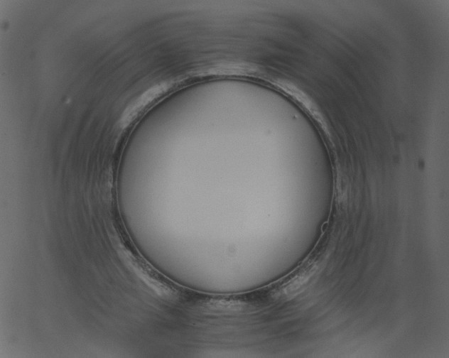 X0000062670437200601111248