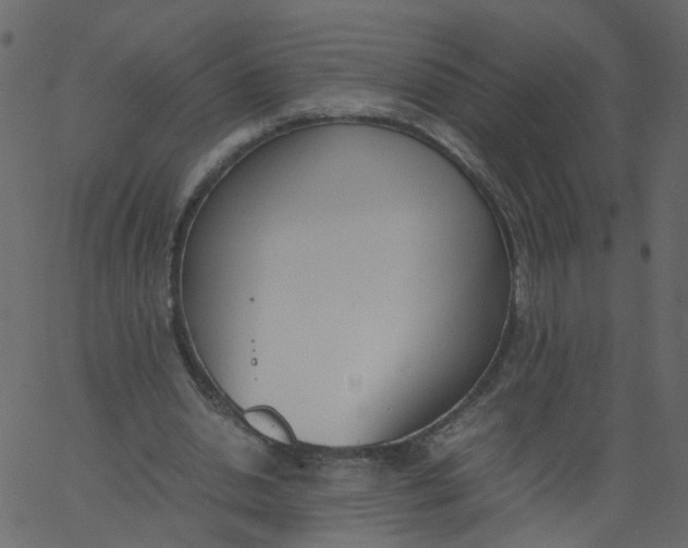 X0000062670438200601111248