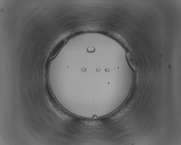 X0000062670439200601111248