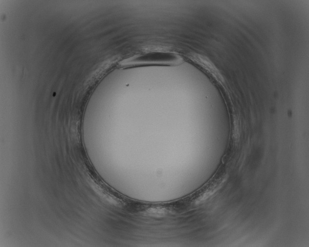 X0000062670441200601111248