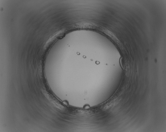 X0000062670442200601111248