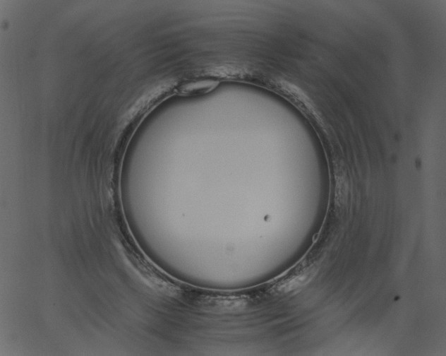 X0000062670443200601111248