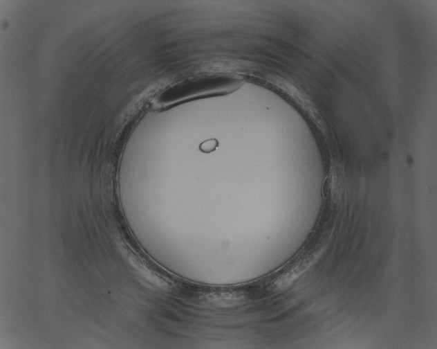 X0000062670445200601111248