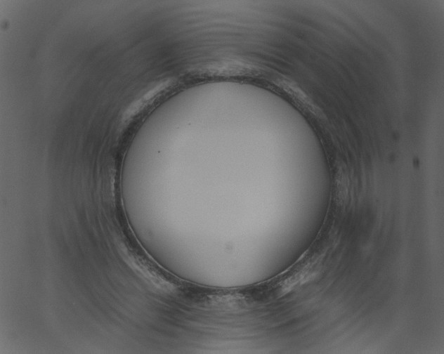 X0000062670446200601111248