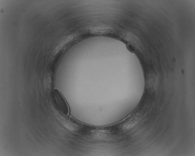 X0000062670448200601111248